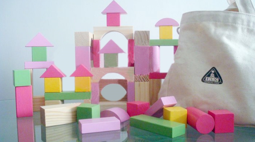 elc wooden bricks